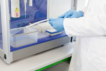 Similar image 13107841