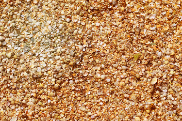 Similar image 13113388