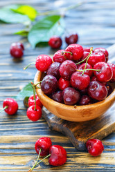 Similar image 13104375