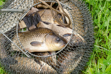 Similar image 13106880