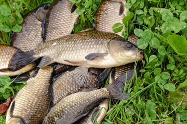 Similar image 13106881