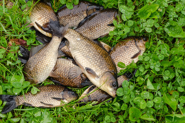 Similar image 13106882