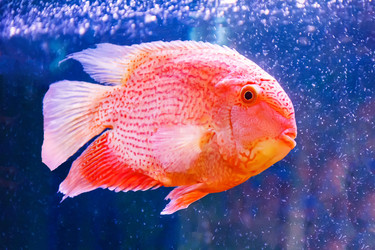 Similar image 13107052