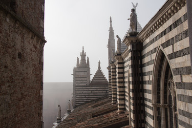 Similar image 13112360