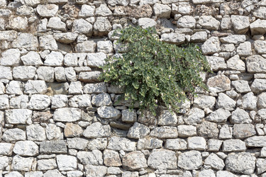 Similar image 13107073