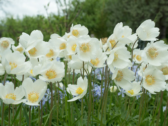 Similar image 13107031