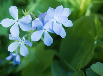 Similar image 13107032