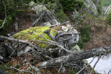 Similar image 13109426