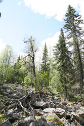 Similar image 13109428