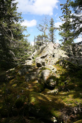 Similar image 13109429