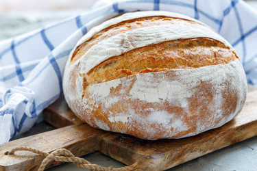 Similar image 13109871