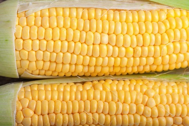 Similar image 13113028