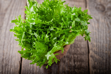 Similar image 13113190