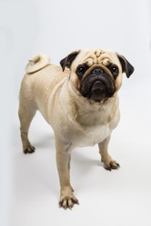 Similar image 13113378