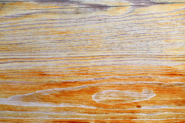 Similar image 13113411