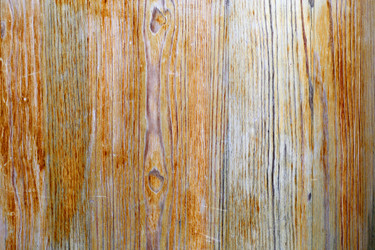 Similar image 13113412