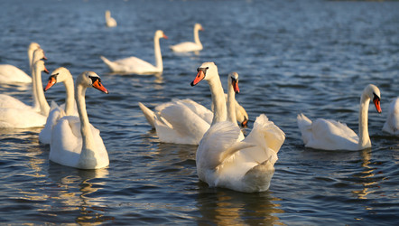 Similar image 13113318