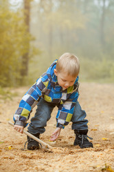 Similar image 13117352