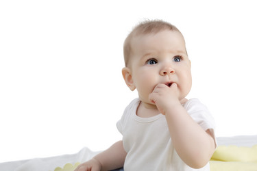 Similar image 13116821