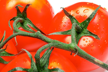 Similar image 13131936