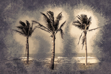 Similar image 13129511