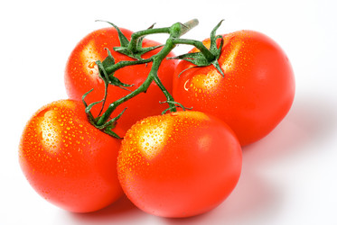 Similar image 13129591