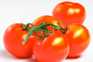 Similar image 13129592