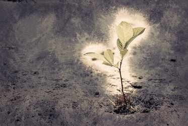 Similar image 13129748