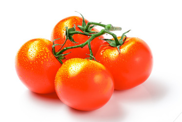 Similar image 13129452