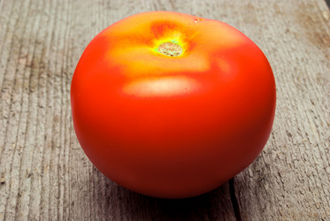 Similar image 13129512