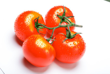 Similar image 13129433