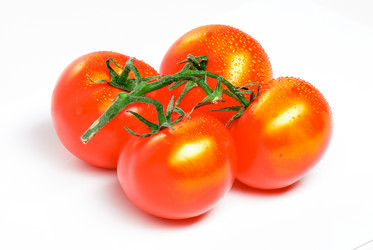 Similar image 13129496