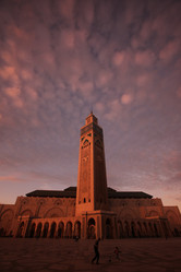 Similar image 13140463