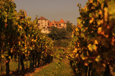 Similar image 13140487