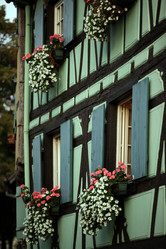 Similar image 13140498