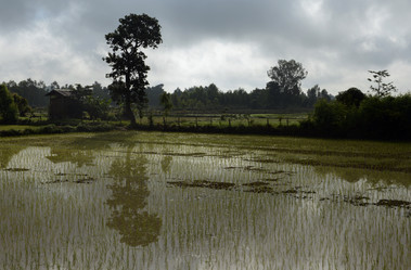 Similar image 13140857