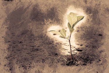 Similar image 13129654