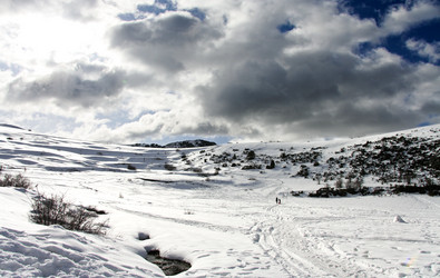 Similar image 13145360