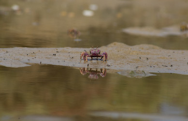 Similar image 13145349