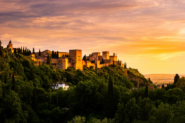 Similar image 13129482