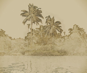 Similar image 13129907