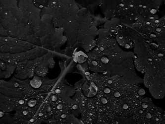 Similar image 13147728