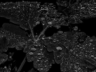 Similar image 13147768