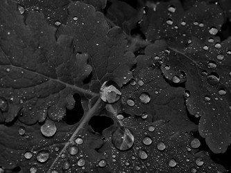 Similar image 13147769