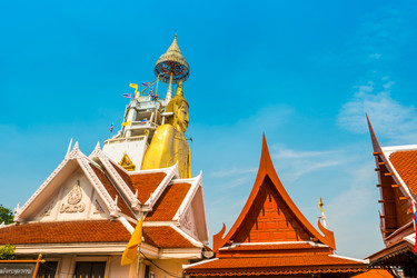 Similar image 13129544