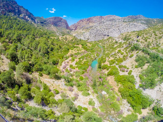 Similar image 13130029