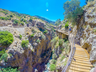 Similar image 13130068