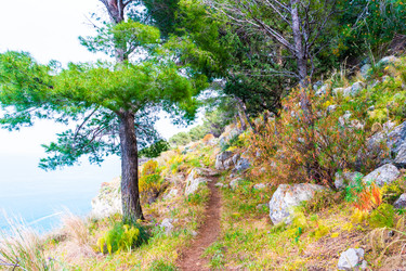 Similar image 13130183