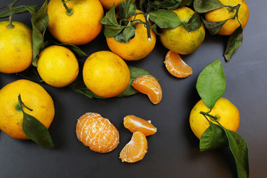 Similar image 13145567