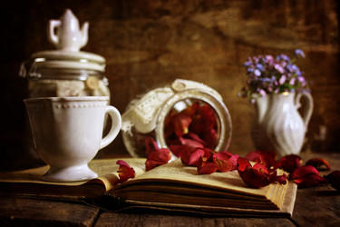 Similar image 13145647